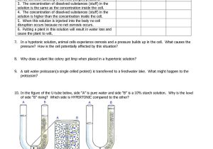 Diffusion and Osmosis Worksheet Answers together with Worksheet Osmosis and tonicity Answers Breadandhearth