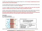 Diffusion and Osmosis Worksheet as Well as Awesome Diffusion and Osmosis Worksheet Answers Luxury Worksheet