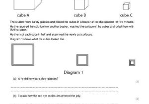 Diffusion and Osmosis Worksheet with Diffusion Osmosis and Active Transport Practice Questions