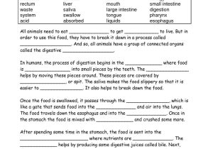 Digestive System Worksheet Answers Also What Am I Science Worksheet Answers Fresh Food Digestion Worksheets