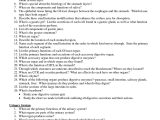 Digestive System Worksheet Answers and the Digestive System Anatomy Review Anatomy Chart Body