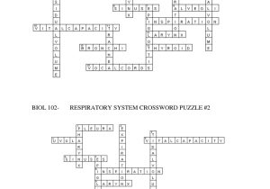 Digestive System Worksheet Answers or Digestive System Crossword Puzzle Pdf High Resolution