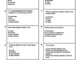 Digestive System Worksheet Pdf and Wunderbar Anatomy and Physiology Multiple Choice Test Zeitgenössisch