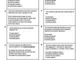 Digestive System Worksheet Pdf and Wunderbar Anatomy and Physiology Multiple Choice Test Zeitgenössisch