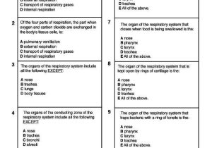 Digestive System Worksheet Pdf together with Wunderbar Anatomy and Physiology Multiple Choice Test Zeitgenössisch