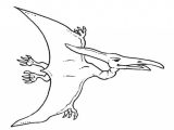 Dinosaur Worksheets for Preschool and Pteranodon Coloring Page Dinosaur Pages Grig3org