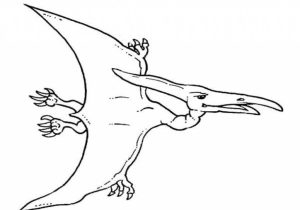 Dinosaur Worksheets for Preschool and Pteranodon Coloring Page Dinosaur Pages Grig3org