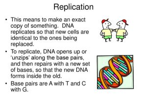 Dna and forensics Worksheet Answers and Dna What is It and How Does It Control Cells Ppt Downloa