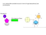 Dna and Genes Worksheet together with Dna Nucleotide Structure In Terms Sugar Base and Phosphat