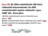 Dna and Genes Worksheet with soru 1 1600 Nkleotitten Meydana Gelen Bir Dna Moleklnde