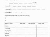 Dna and Protein Synthesis Worksheet Answers or Good Worksheet Dna Rna and Protein Synthesis Answer Key Quizlet
