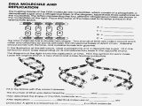 Dna and Replication Worksheet Along with Worksheets 47 Re Mendations Dna the Molecule Heredity Worksheet