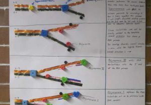 Dna and Replication Worksheet together with Dna Replication Poster Great Idea for Your Dna Activities In the