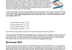 Dna and Rna Structure Worksheet Answer Key Also Inspirational Dna Replication Worksheet Answers Luxury Business Plan