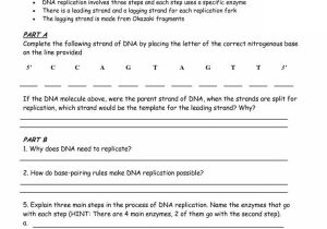 Dna Base Pairing Worksheet Answer Key as Well as Worksheets 43 Fresh Dna Replication Worksheet Answers Full Hd