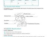 Dna Base Pairing Worksheet Answer Key together with Lovely Dna Replication Worksheet Answers Unique Dna Replication
