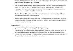 Dna Extraction Virtual Lab Worksheet and Biol3400 Labmanual