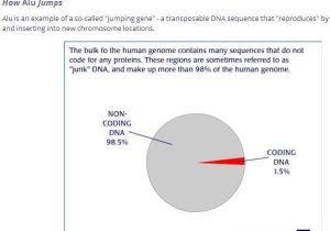 Dna Extraction Virtual Lab Worksheet as Well as 18 Best Lab Pv92 Pcr Informatics Images On Pinterest