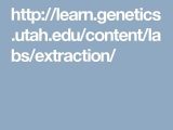 Dna Extraction Virtual Lab Worksheet or 30 Best Steam Virtual Labs Images On Pinterest