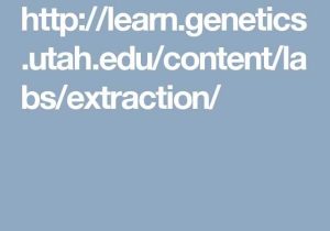 Dna Extraction Virtual Lab Worksheet or 30 Best Steam Virtual Labs Images On Pinterest