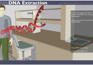 Dna Extraction Virtual Lab Worksheet with Pin by Rachel Porter On Science Resources Pinterest
