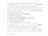 Dna Fingerprinting Activity Worksheet Along with Worksheet Ideas Phenomenala Rna and Protein Synthesis Worksh