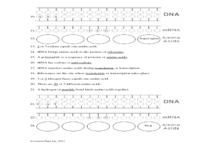 Dna Fingerprinting Activity Worksheet Along with Worksheet Ideas Phenomenala Rna and Protein Synthesis Worksh