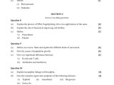 Dna Fingerprinting Worksheet Answer Key and Working Papers Telfer School Of Management Paper About Biology