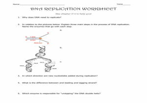 Dna Fingerprinting Worksheet as Well as Lovely Dna Replication Worksheet Answers Beautiful Dna