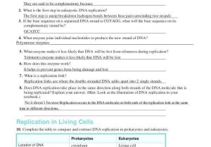 Dna Fingerprinting Worksheet together with Lovely Dna Replication Worksheet Answers Beautiful Dna