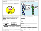 Dna Interactive Worksheet Answer Key Also Mutations the Potential Power Of A Small Change by Amoebasisters