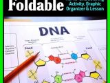 Dna Interactive Worksheet Answer Key with Dna Structure Foldable Big Foldable for Interactive Notebooks or