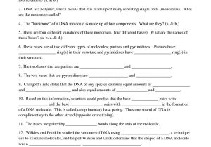 Dna Molecule and Replication Worksheet Answers Also Dna Molecule Two Views Worksheet Answers Gallery Worksheet for