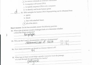 Dna Molecule and Replication Worksheet Answers or Dna Molecule Two Views Worksheet Answers Gallery Worksheet for