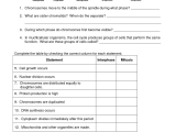Dna Molecule and Replication Worksheet Answers or Free Worksheets Library Download and Print Worksheets