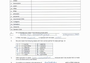 Dna Molecule and Replication Worksheet Answers together with 16 Awesome Worksheet Dna Rna and Protein Synthesis
