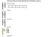 Dna Mutations Practice Worksheet Answers Also Ngss Variation Among Traits Activity Chromosome Mutation Activity