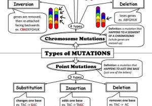 Dna Mutations Practice Worksheet Answers together with Translation Practice Worksheet Gallery Worksheet Math for Kids