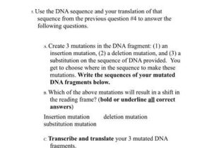Dna Mutations Practice Worksheet Answers with Worksheets 49 Unique Transcription and Translation Worksheet Answers