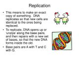 Dna Mutations Practice Worksheet Conclusion Answers as Well as Dna What is It and How Does It Control Cells Ppt Downloa