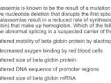 Dna Mutations Worksheet Answer Key Also Biology Archive April 03 2018