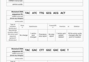 Dna Mutations Worksheet Answer Key and Dna Mutations Explained