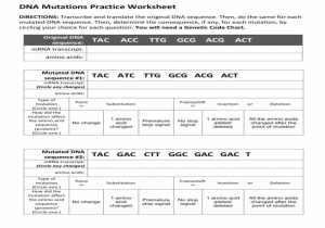Dna Mutations Worksheet Answer Key as Well as Mutations Worksheet Key Gallery Worksheet Math for Kids