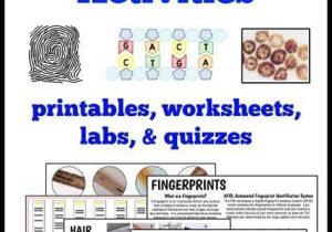 Dna Profiling Worksheet with 666 Best Teaching forensics Images On Pinterest