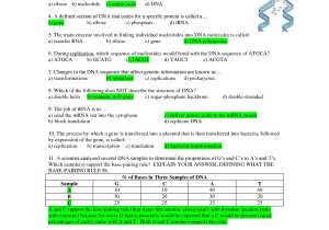 Dna Protein Synthesis Review Worksheet as Well as Dna Rna and Protein Synthesis Worksheet Image Collections