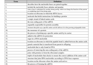 Dna Protein Synthesis Review Worksheet together with Dna Rna and Protein Synthesis Worksheet Image Collections