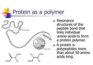 Dna Replication and Protein Synthesis Worksheet Answer Key as Well as Polymer Structure Proteins softland