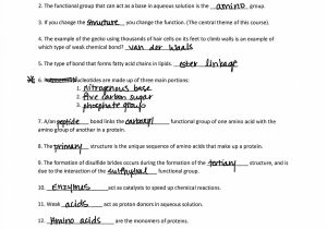 Dna Replication and Rna Transcription Worksheet Answers and Dna Replication Worksheet Key Gallery Worksheet for Kids In English