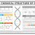 Dna Replication and Rna Transcription Worksheet Answers or Dna Vs Rna Worksheet Image Collections Worksheet for Kids Maths