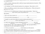 Dna Replication and Rna Transcription Worksheet Answers or Free Worksheets Library Download and Print Worksheets